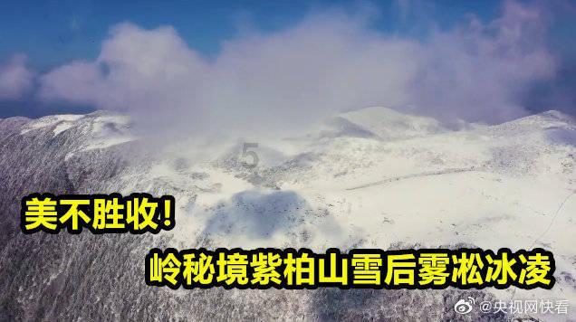 第三代社保卡弊端游戏画面
