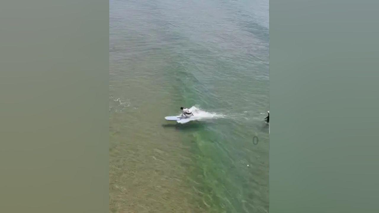 燃烧吧大脑装瓶子游戏