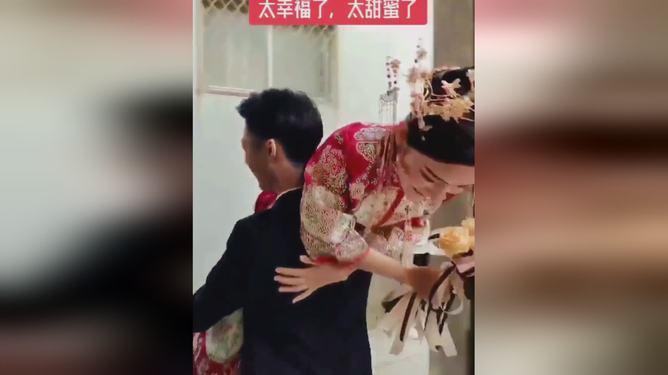 蚊子猎手