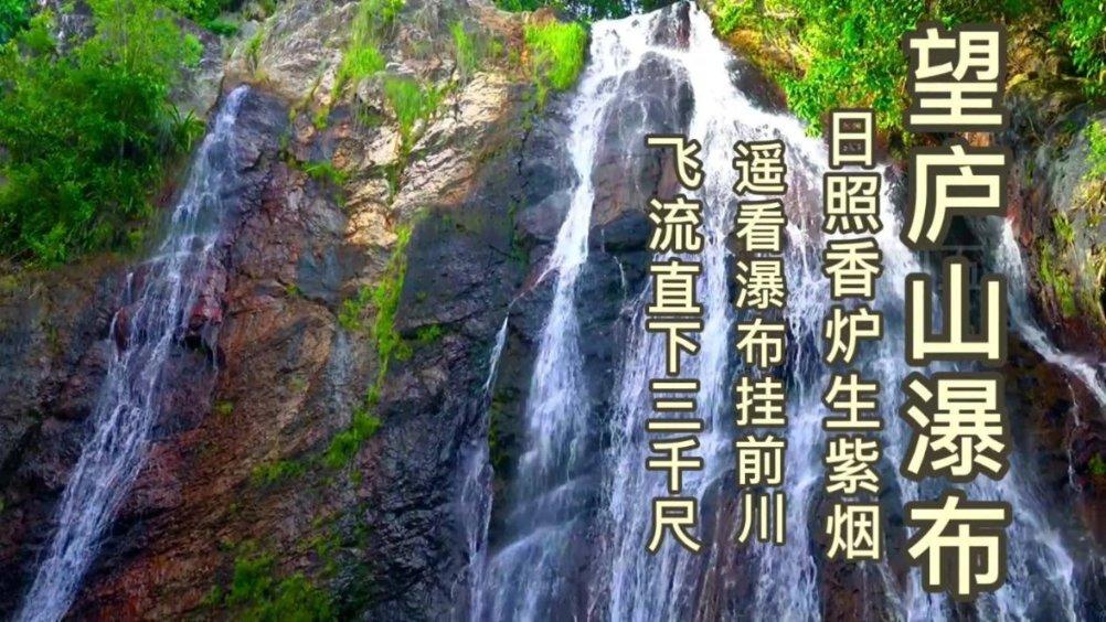 精灵嘉年华