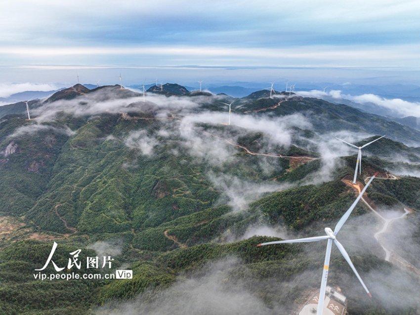 燃烧吧大脑装瓶子游戏