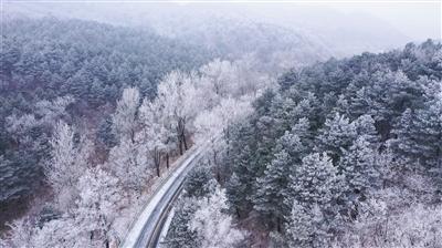 球球大作战下载最新版